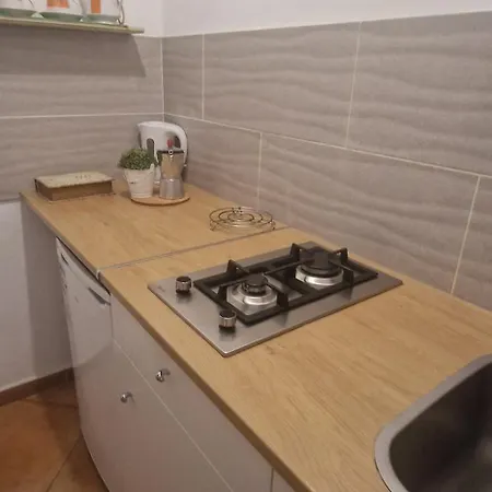 Ohana Roger Lejlighed