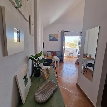 Apartament Ohana Roger *